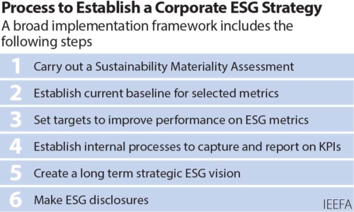 Process to Establish ESG Strategy