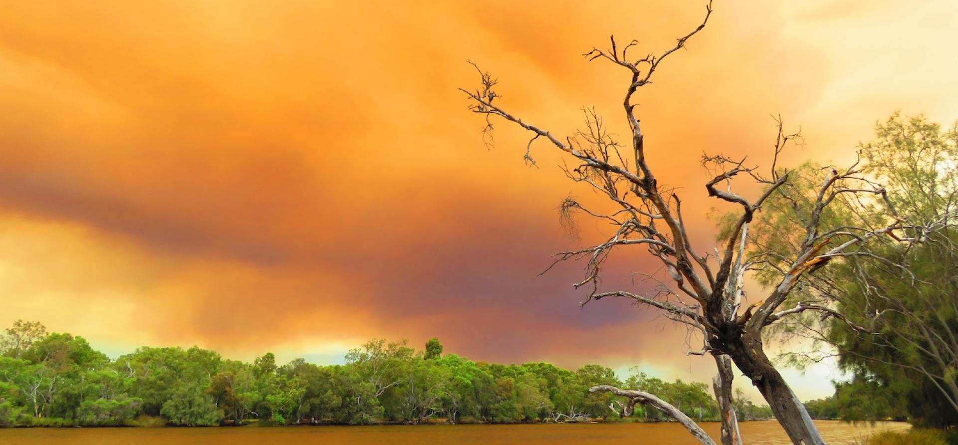 Australia's Climate Change Adaptation and Mitigation Bill | IEEFA