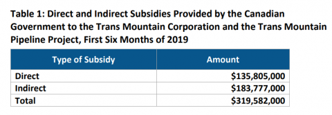  Direct and Indirect Subsidies