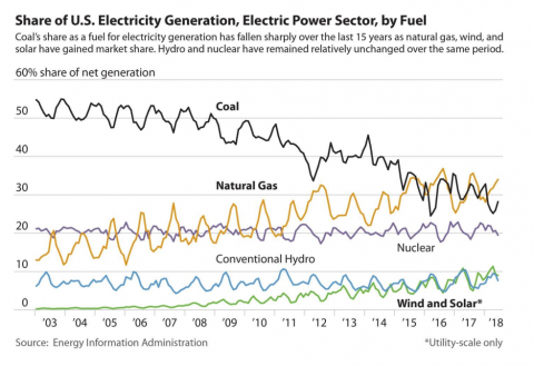 Share of US Electricity Generation