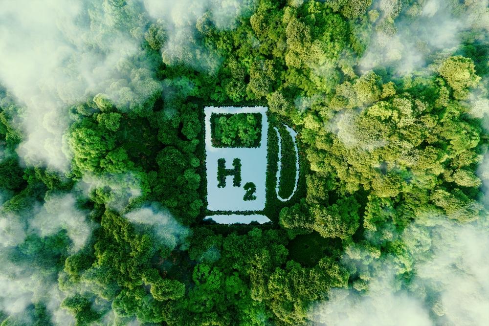 India must act fast to avoid trailing in the global race for green ...