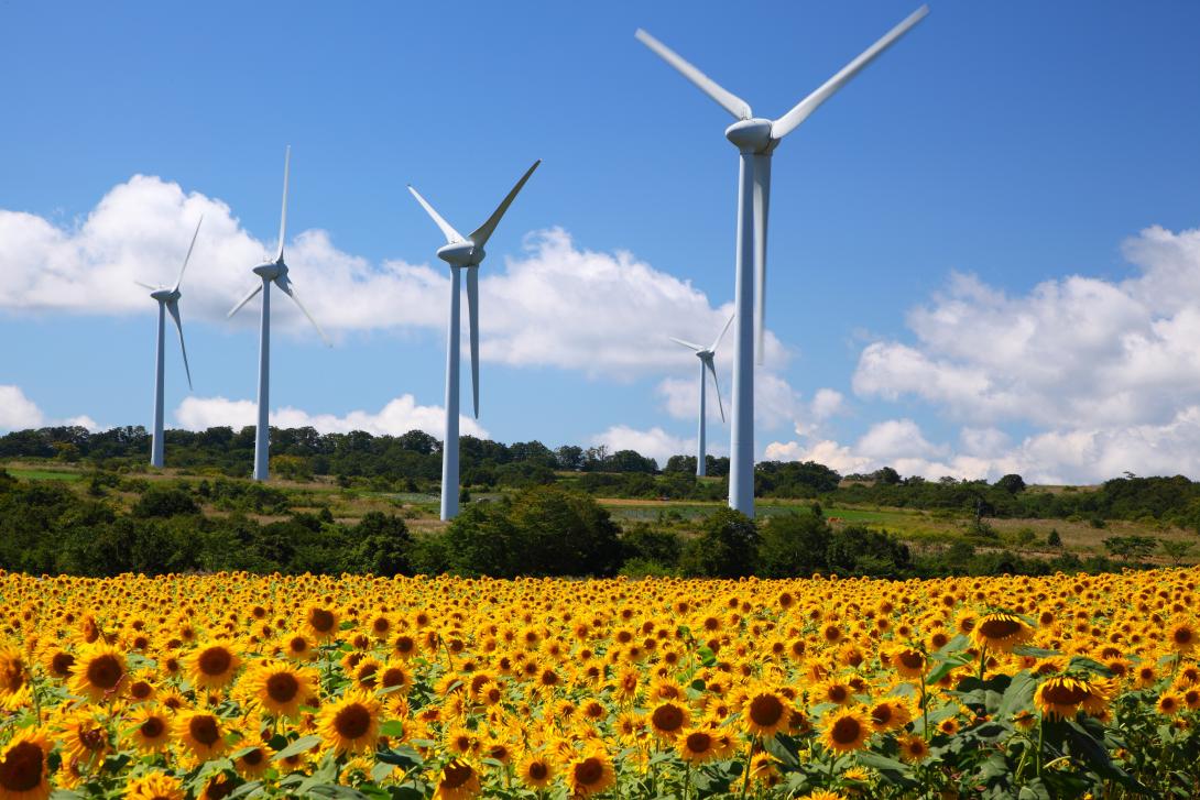 Japan renewables
