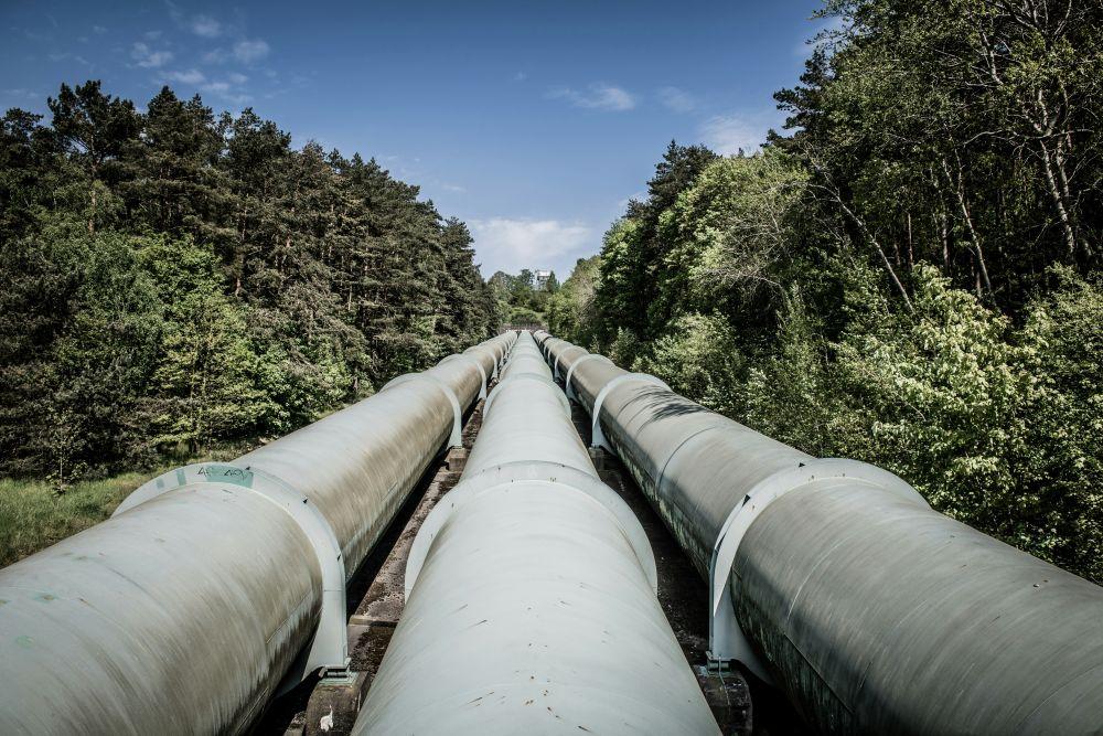 pipeline through trees