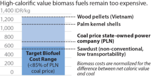 IEEFA Indonesia: Switching coal plants to PLN’s biomass cofiring plan is no magic bullet
