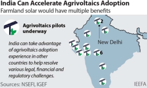 IEEFA: Agrivoltaics – how India can combine solar power and farmland
