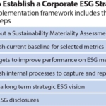 2020-08-17 IEEFA India green bonds 360x216 v2 Process to Establish ESG Strategy